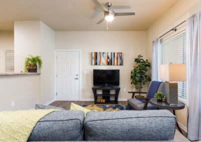 an example of a living room at the flats at ridgeview